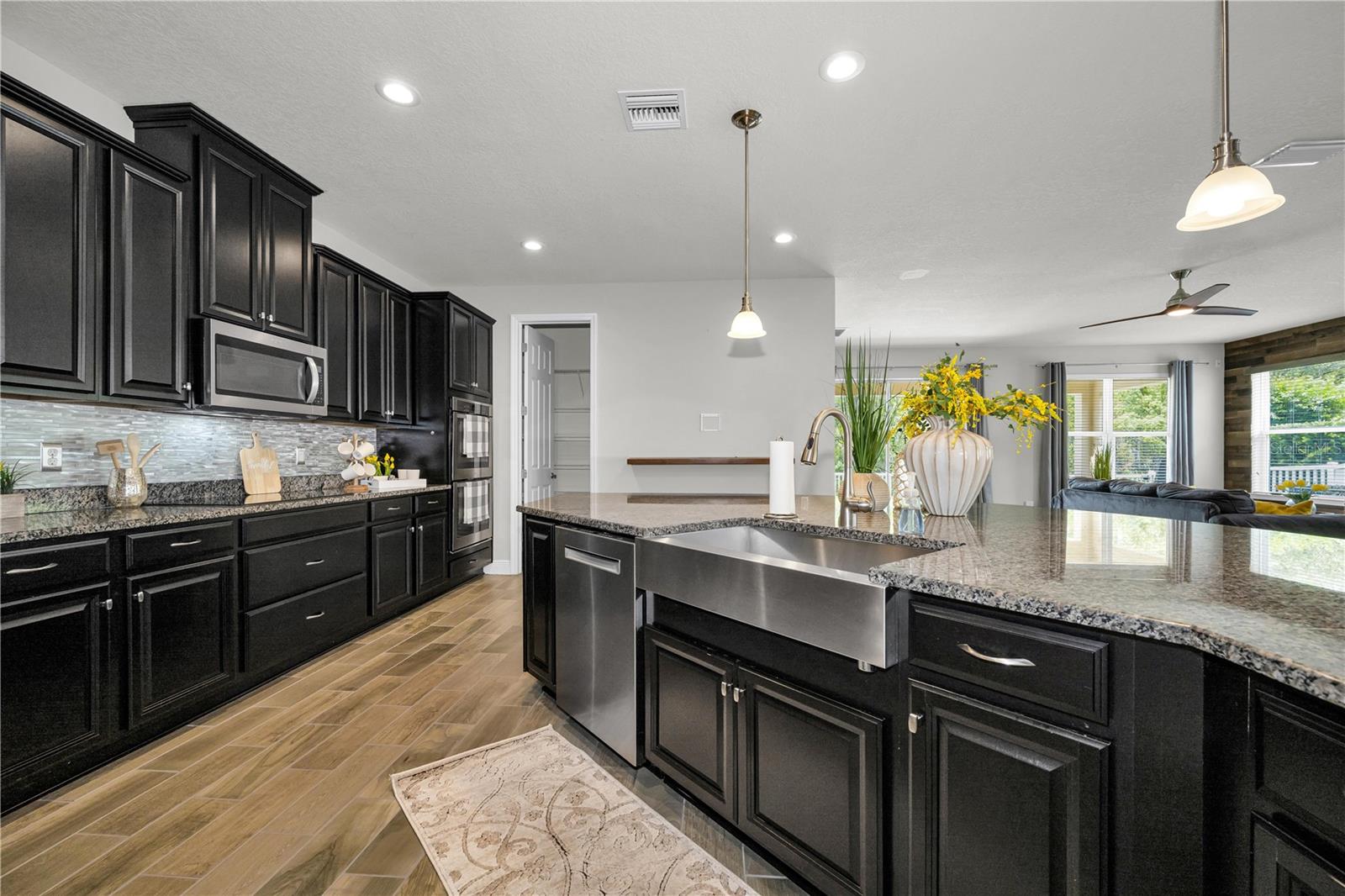 18233 Roseate, Lutz, FL 33558