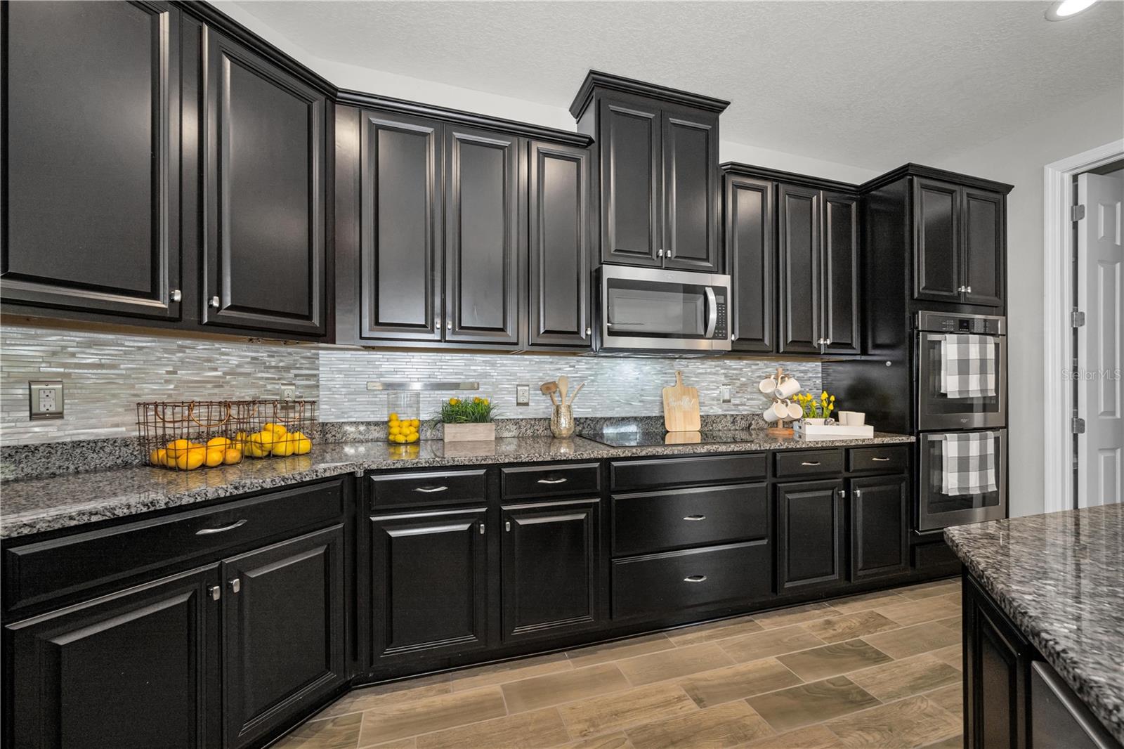 18233 Roseate, Lutz, FL 33558