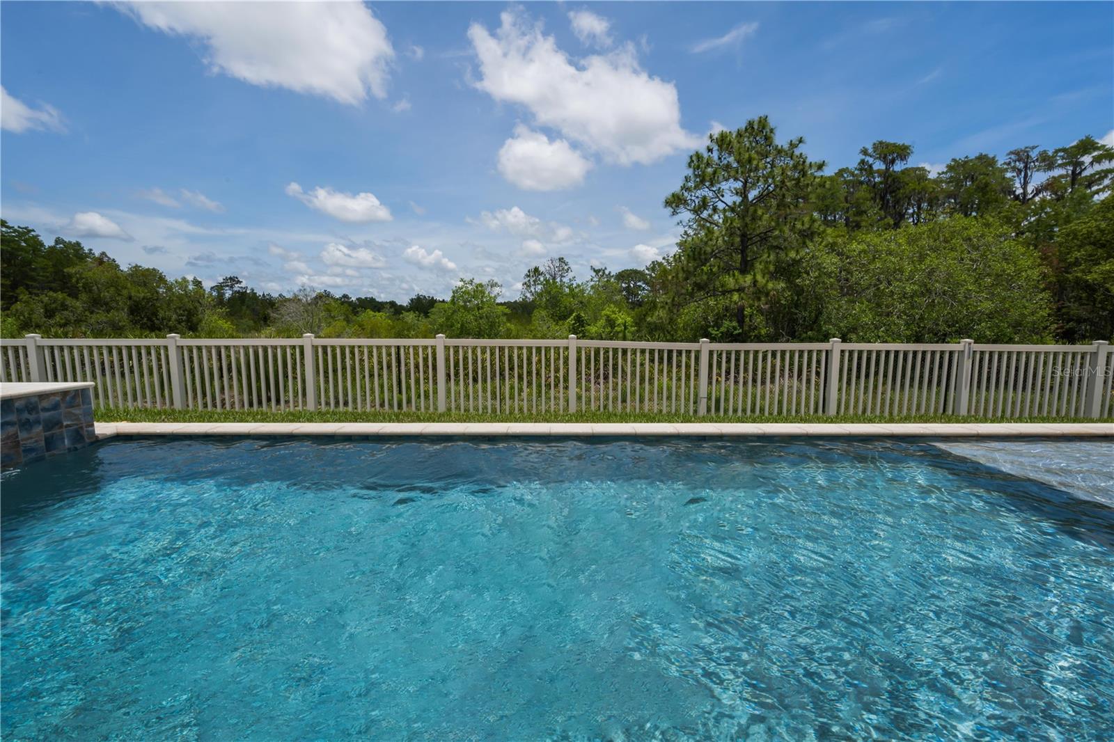 18233 Roseate, Lutz, FL 33558