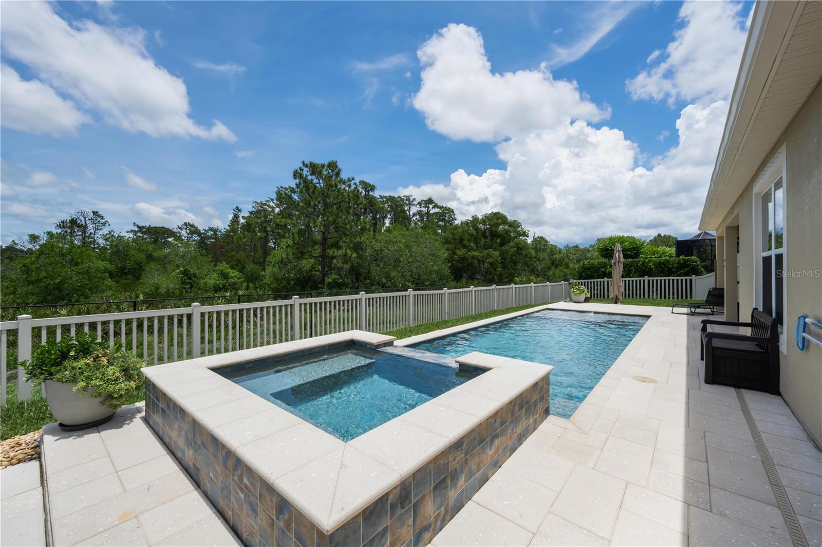 18233 Roseate, Lutz, FL 33558