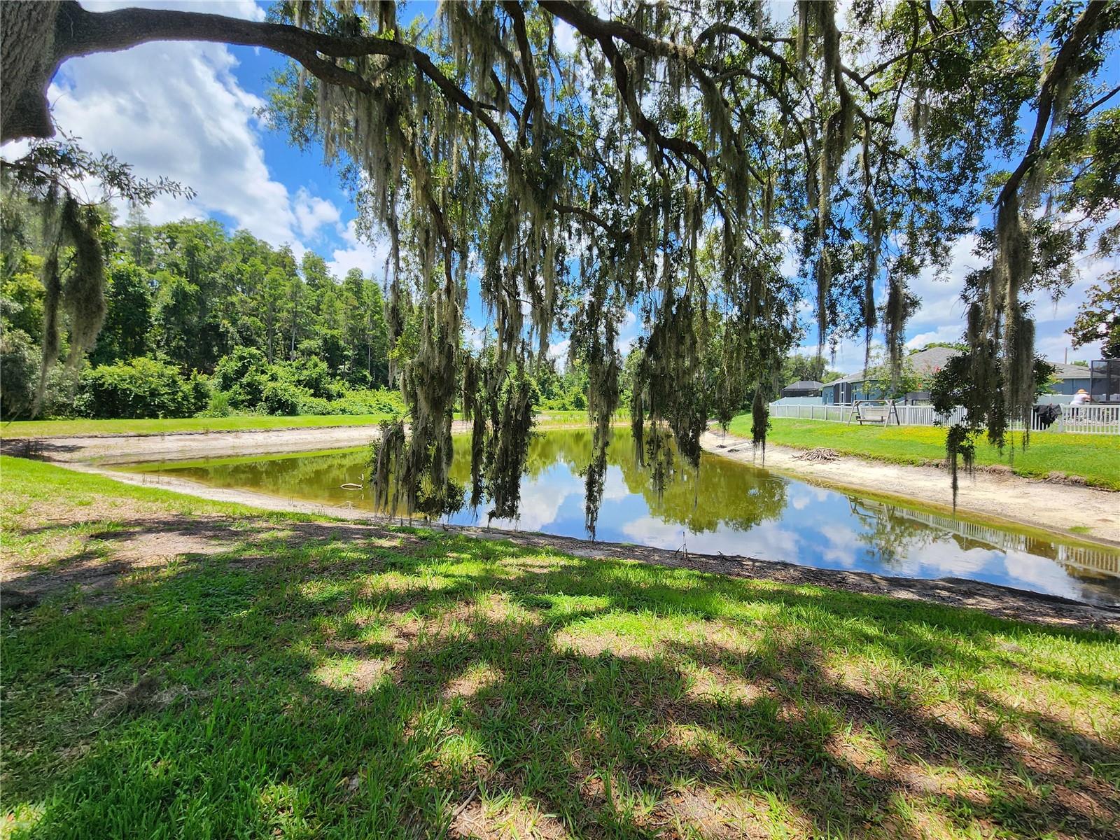 30702 Iverson, Wesley Chapel, FL 33543