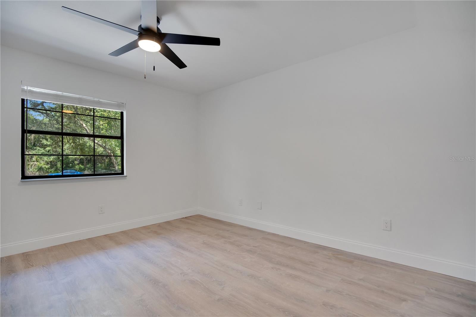 42111 Chinaberry, Eustis, FL 32736