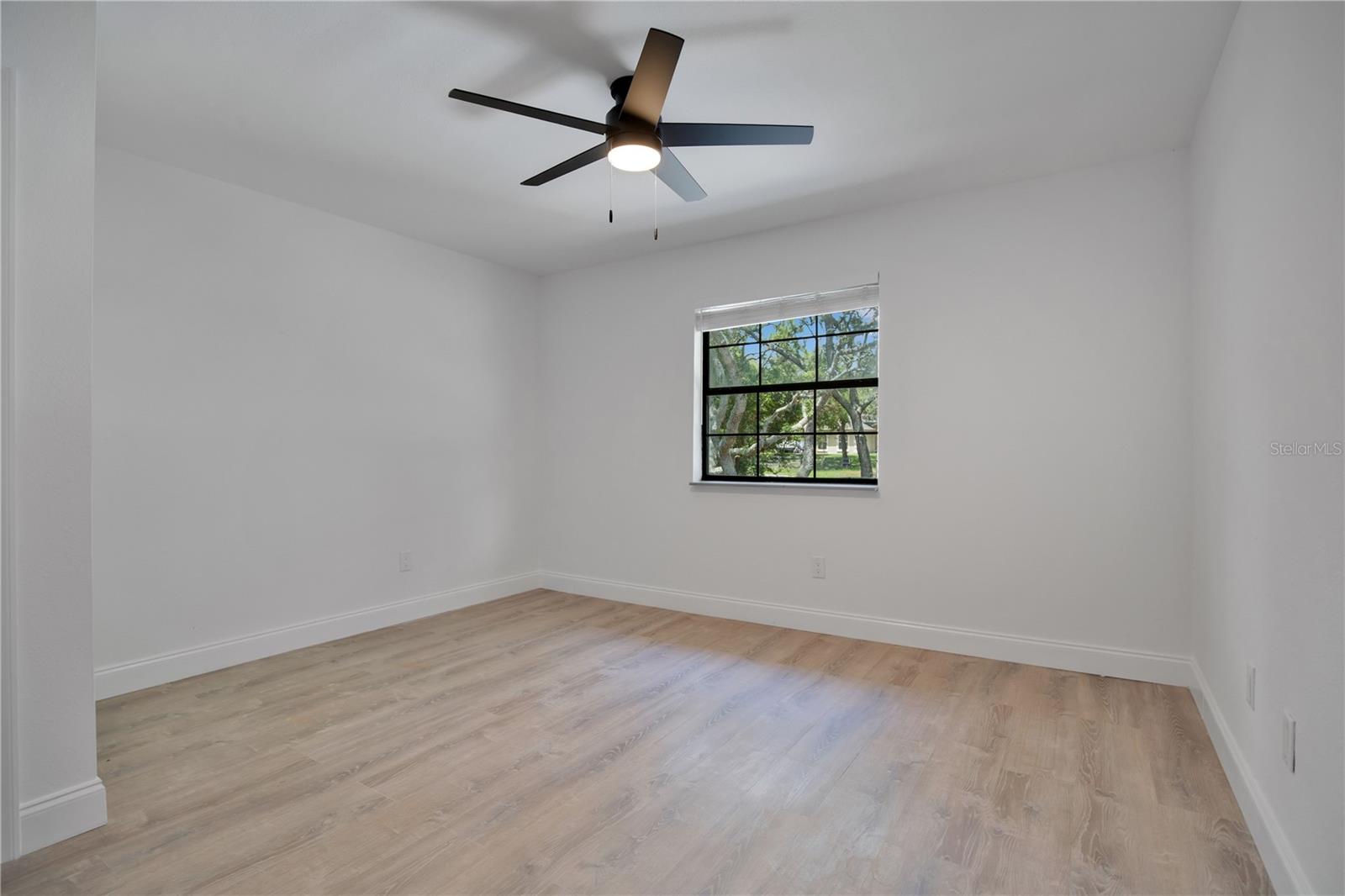 42111 Chinaberry, Eustis, FL 32736