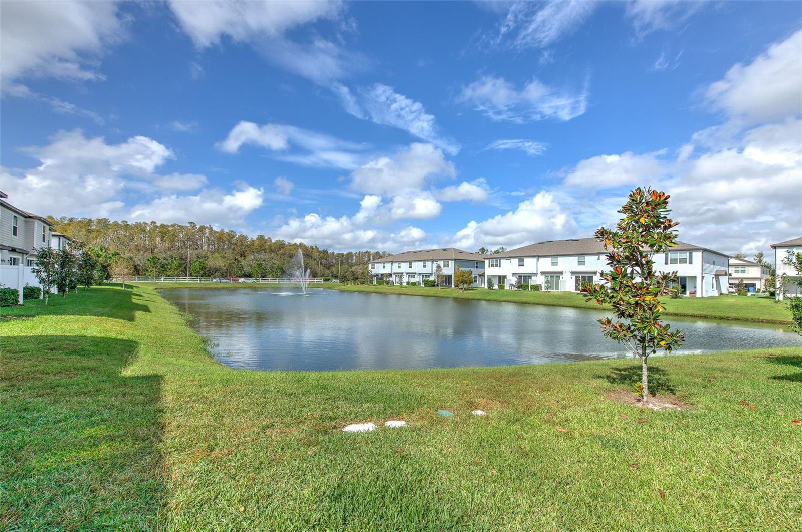 2899 Deer Pine, Land O Lakes, FL 34638