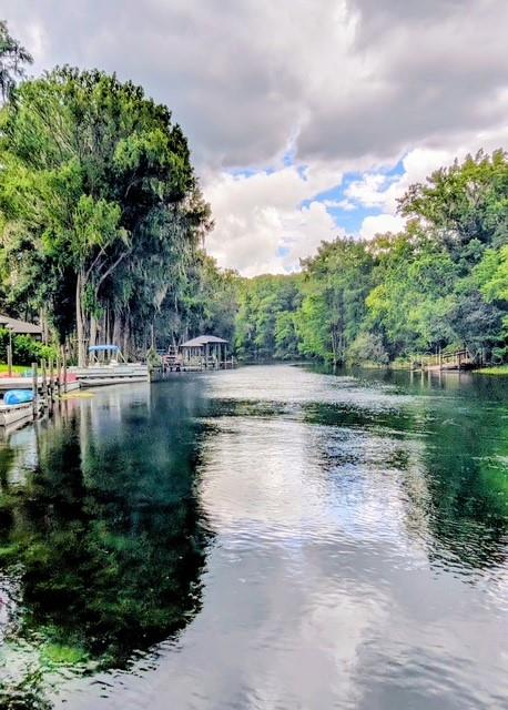 11591 Mockingbird, Dunnellon, FL 34432