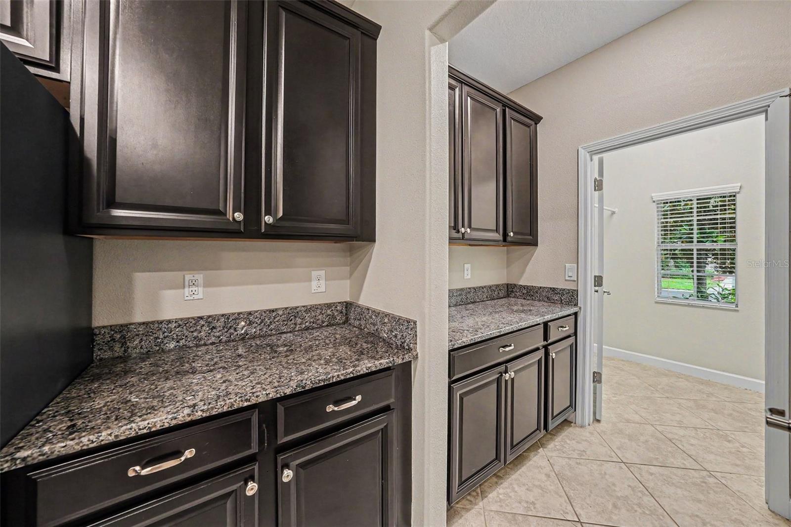 11809 Twilight Darner, Riverview, FL 33569