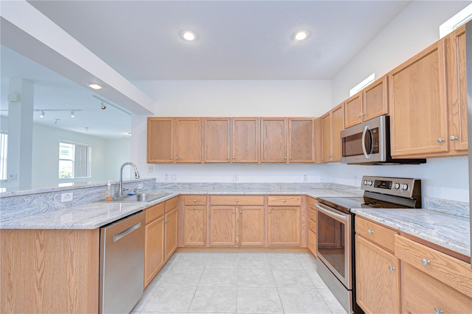 8049 Sanguinelli, Land O Lakes, FL 34637