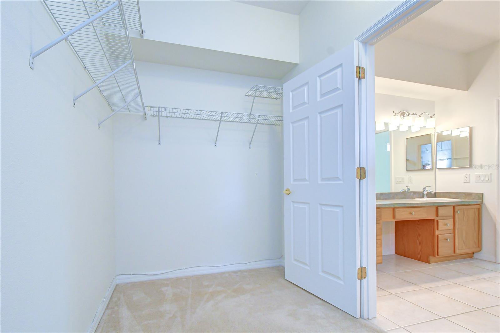 8049 Sanguinelli, Land O Lakes, FL 34637