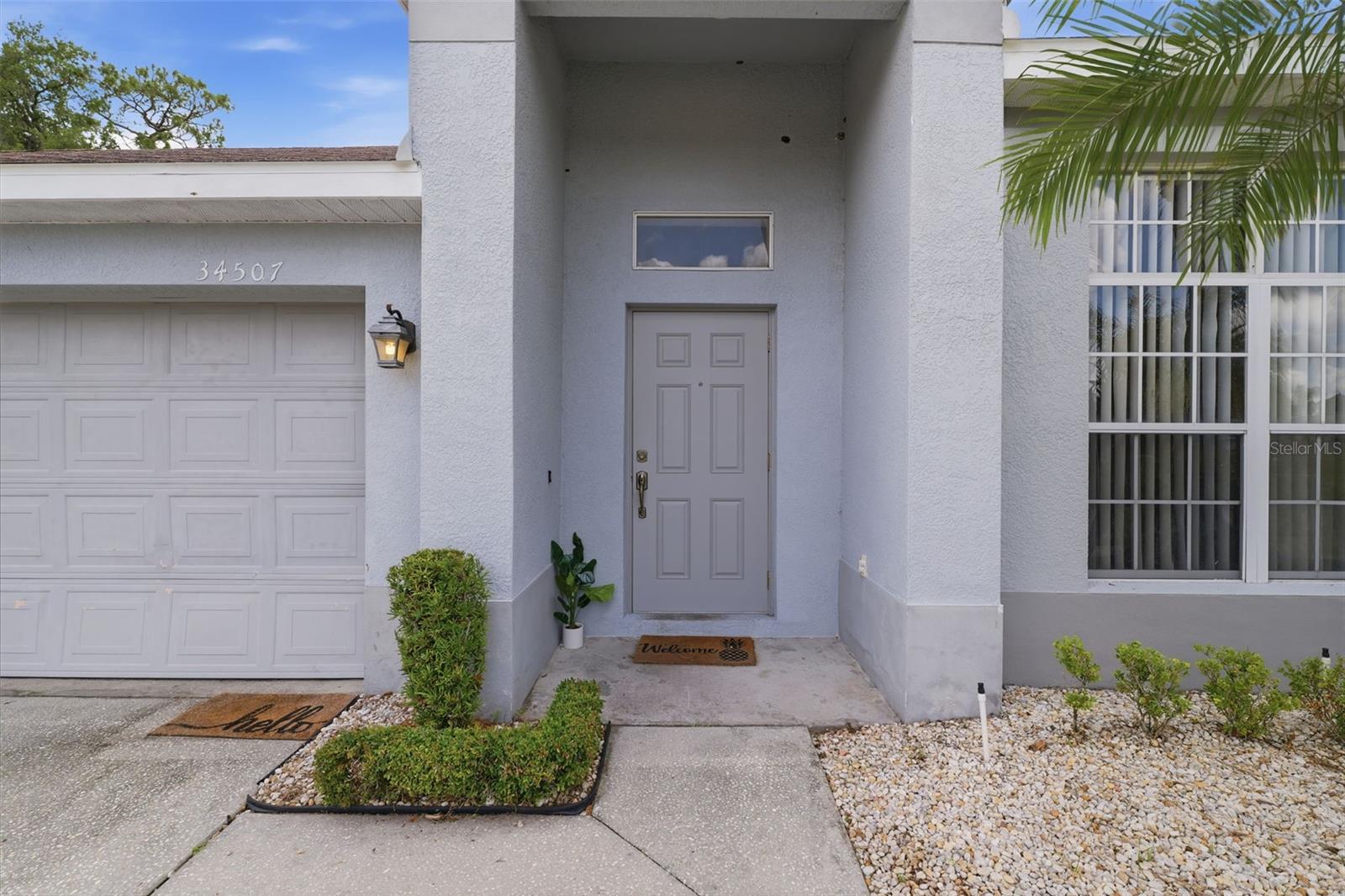 34507 Smart, Zephyrhills, FL 33541