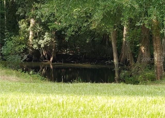 12253 Berry, Floral City, FL 34436