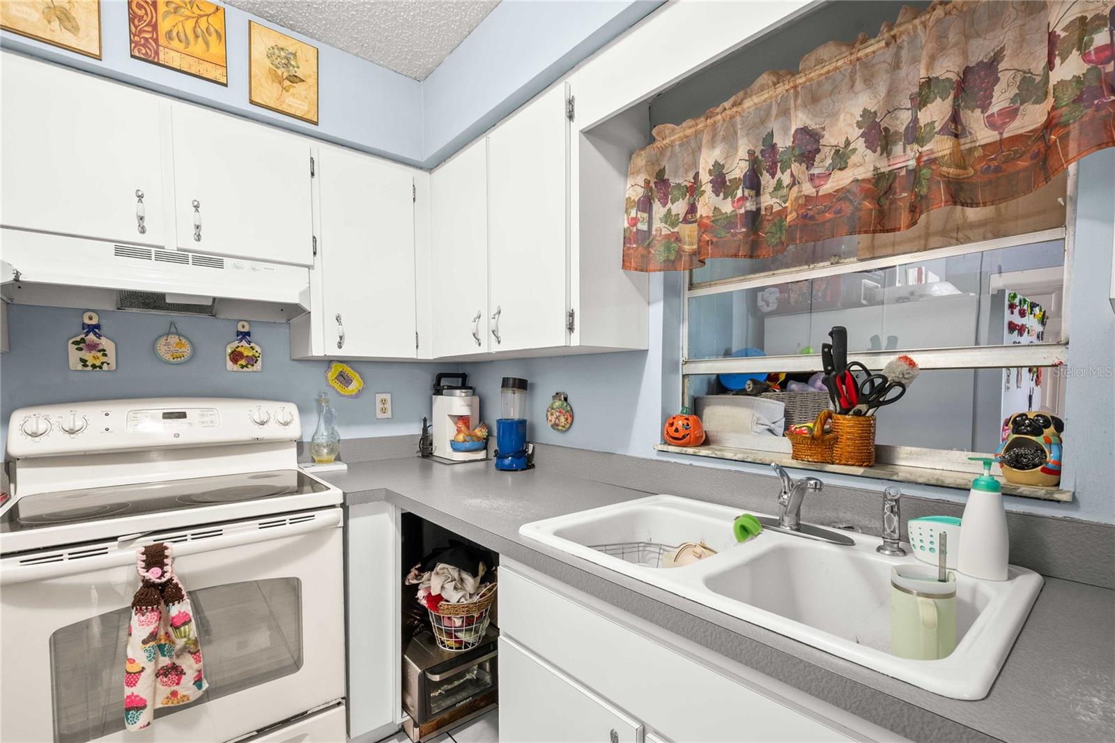 37253 Safari, Dade City, FL 33523