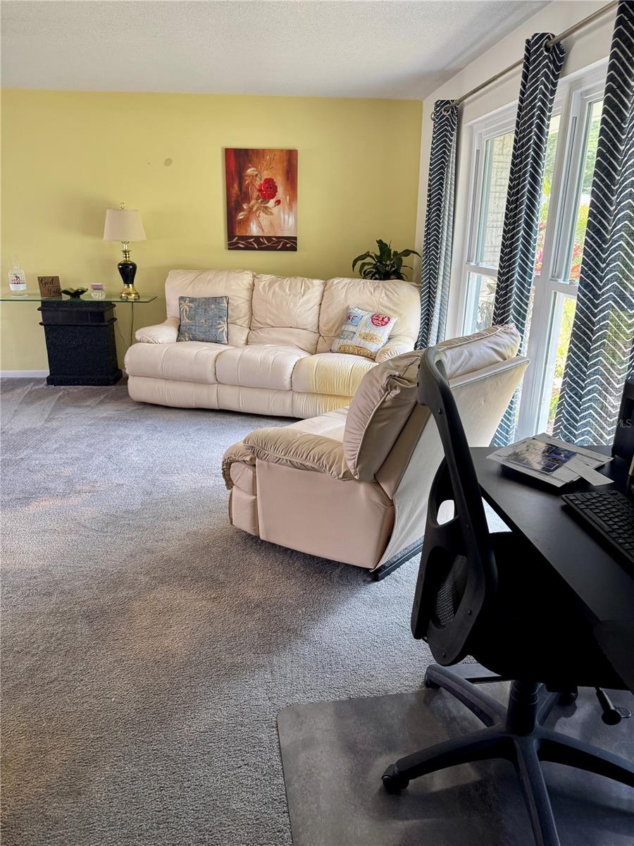 17109 Rainbow Terrace, Odessa, FL 33556