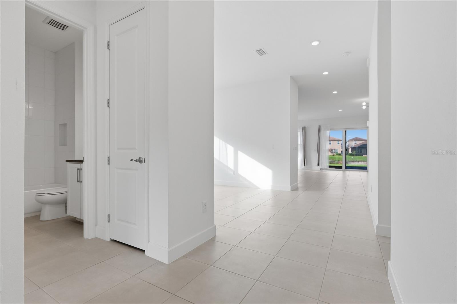 32801 Tree of Life, Wesley Chapel, FL 33543