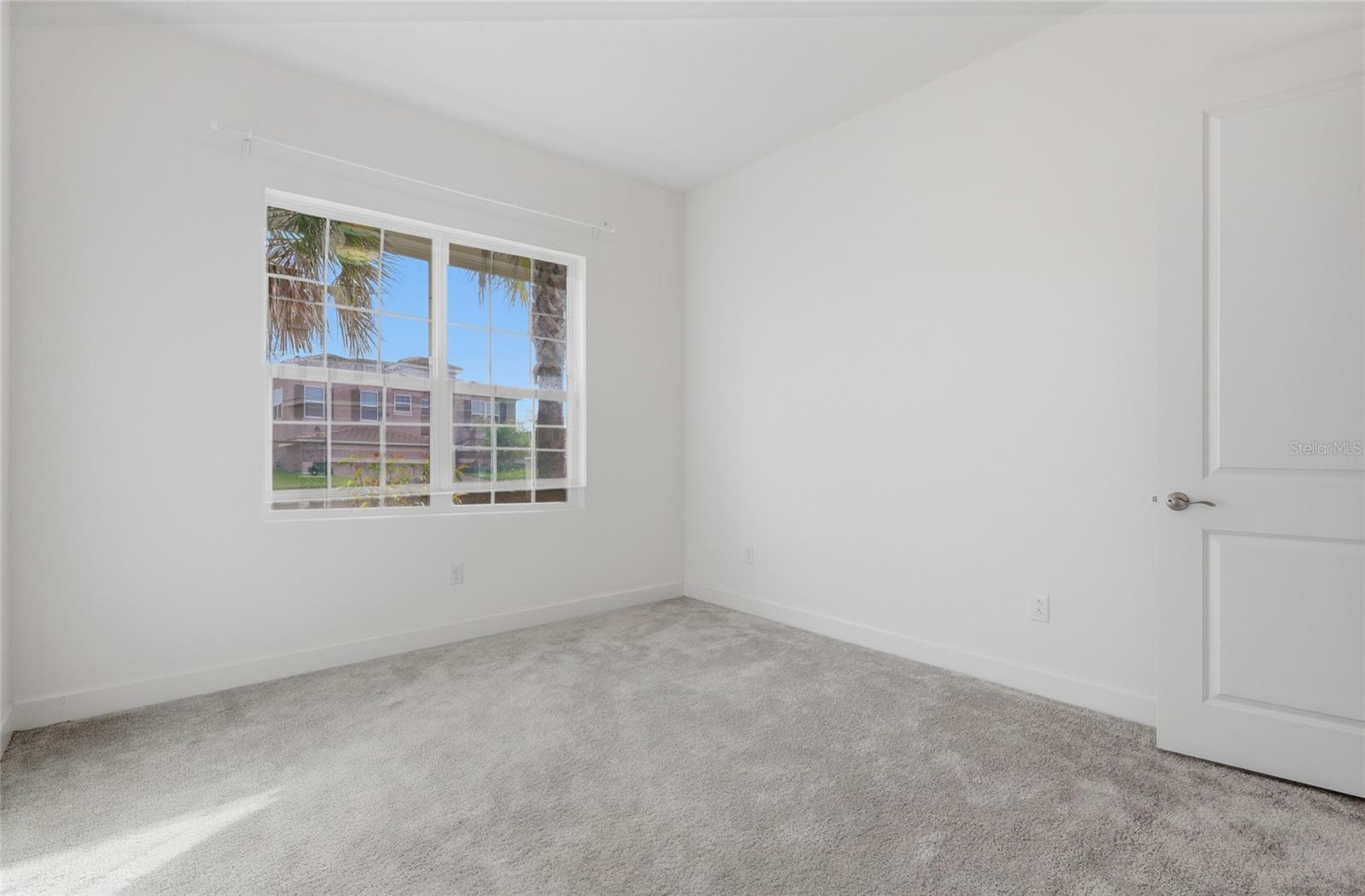 32801 Tree of Life, Wesley Chapel, FL 33543