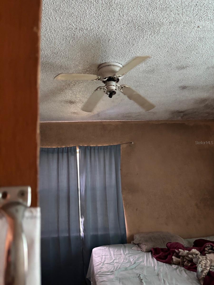 1014 37th, Orlando, FL 32805