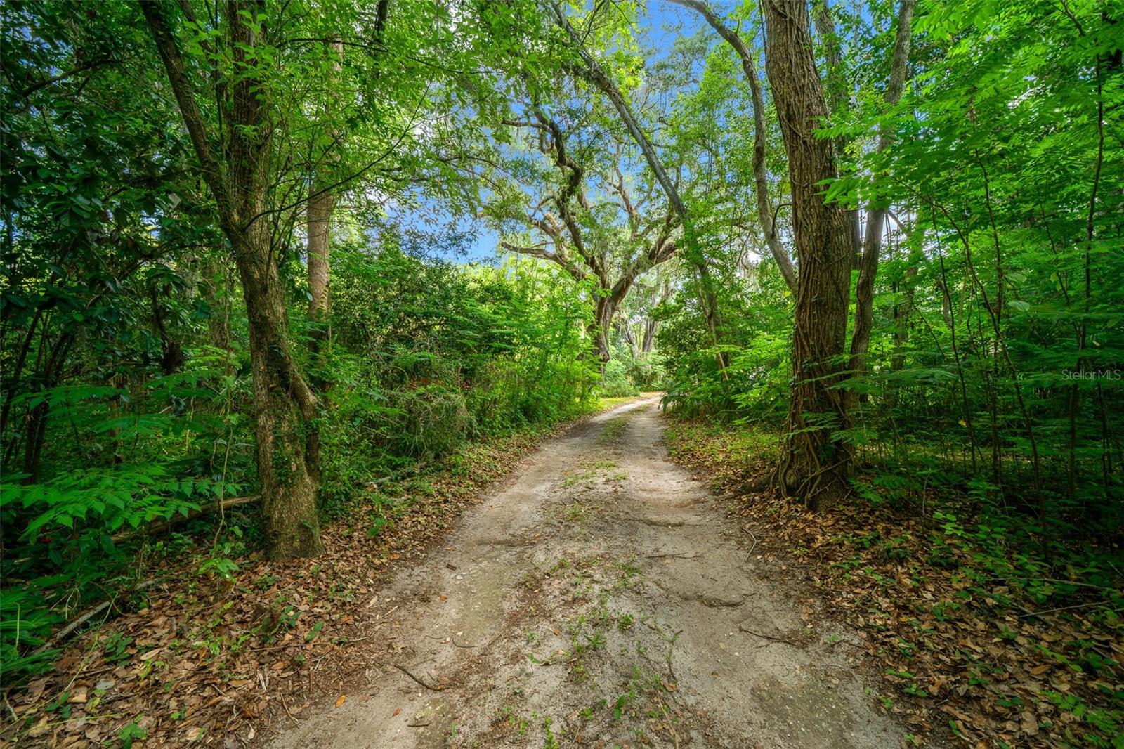 1985 97th Streed, Anthony, FL 32617