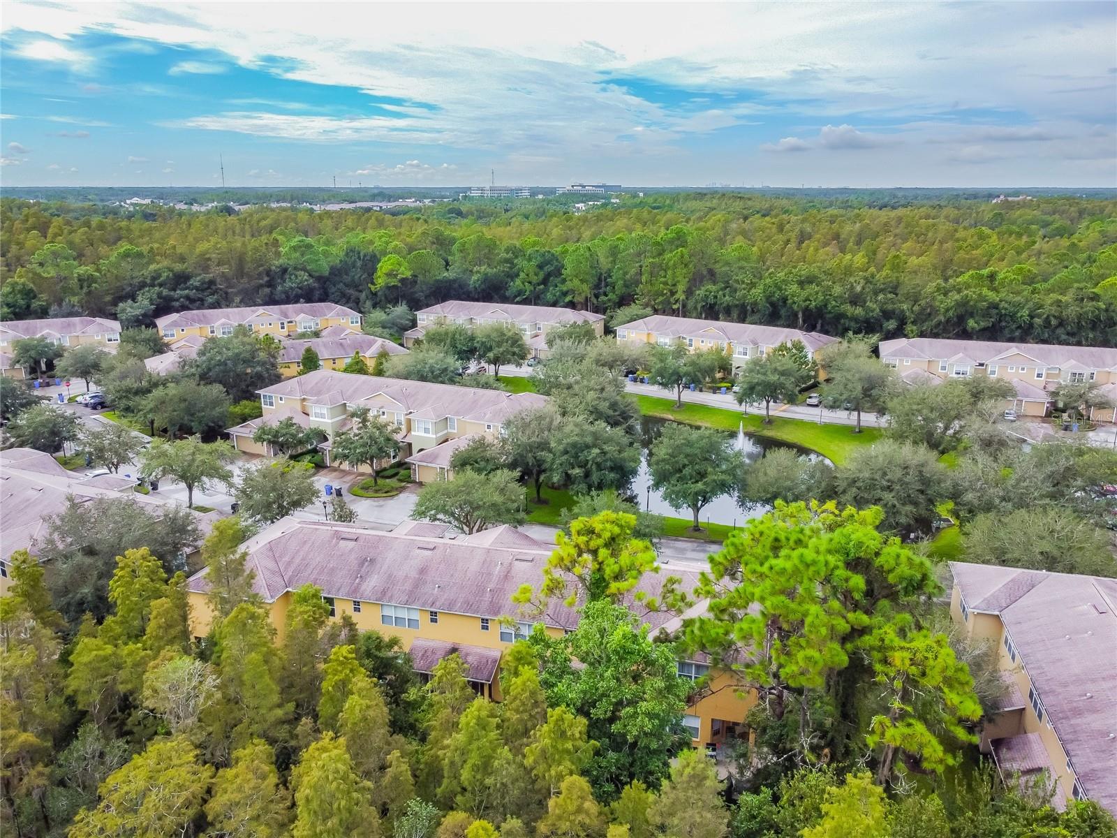 8116 Stone Path, Tampa, FL 33647