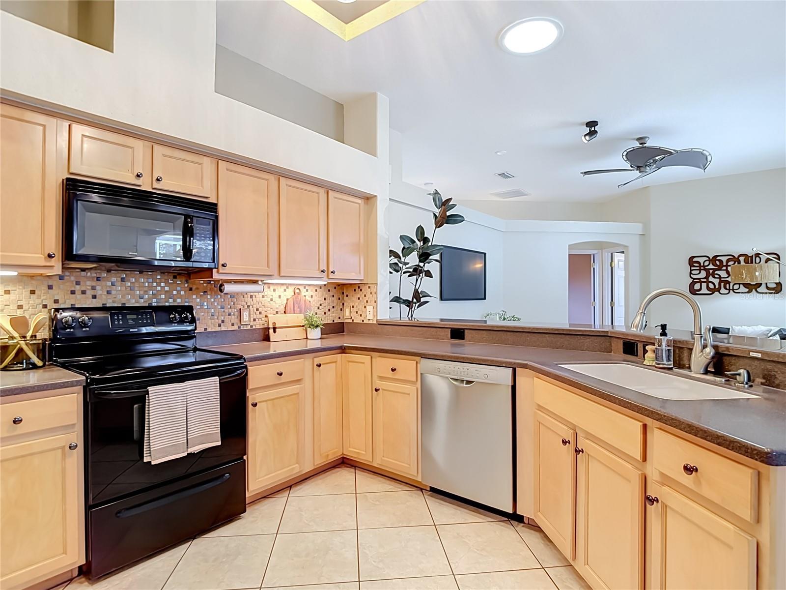 21629 Silver Bay, Land O Lakes, FL 34637