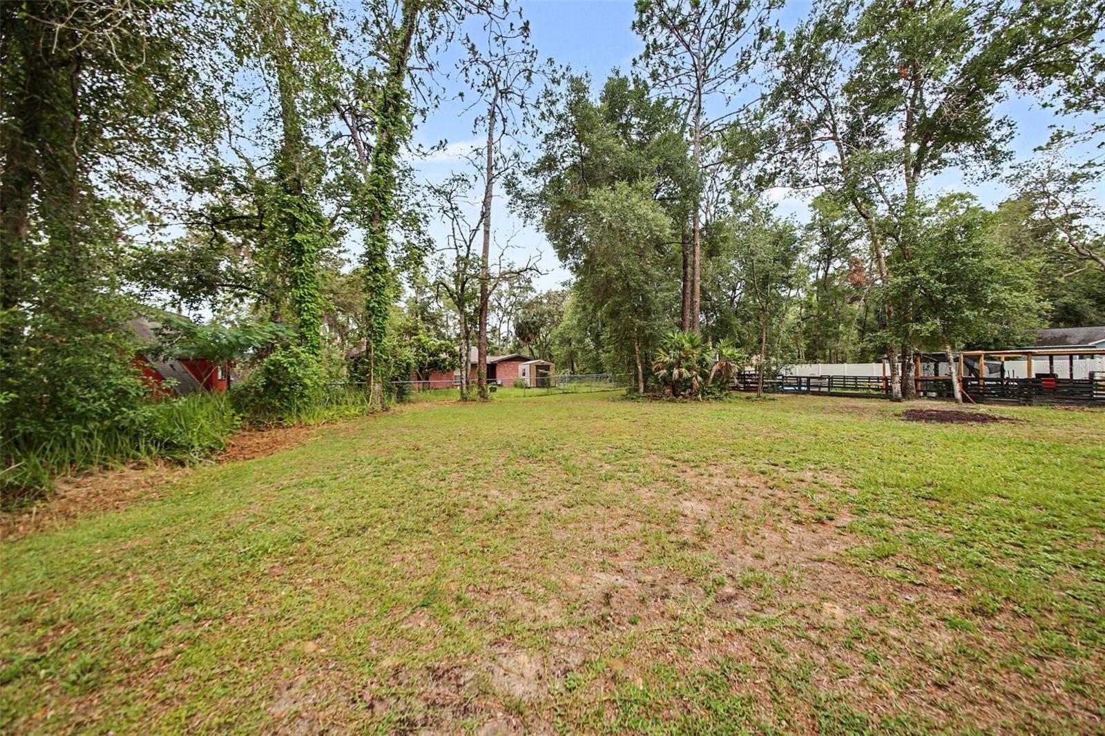 17050 60th, Ocklawaha, FL 32179