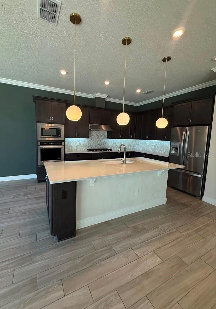 10732 Pahokee Beach, Orlando, FL 32827