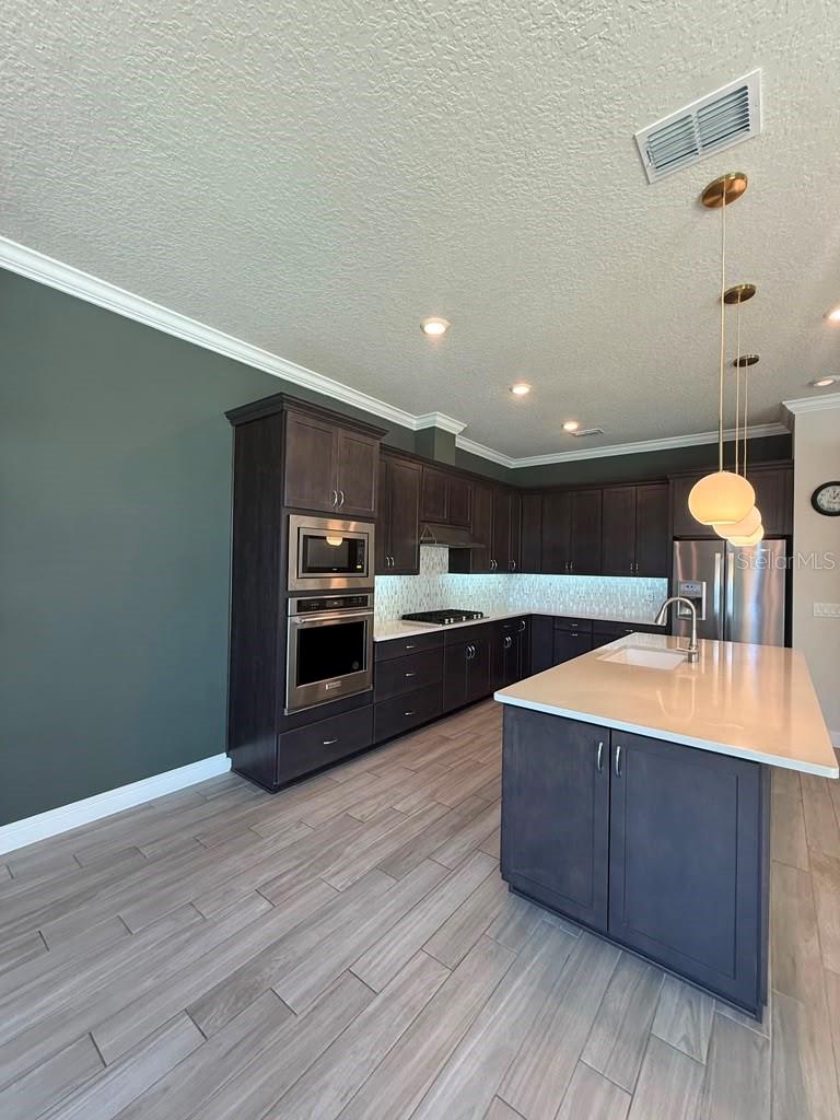 10732 Pahokee Beach, Orlando, FL 32827