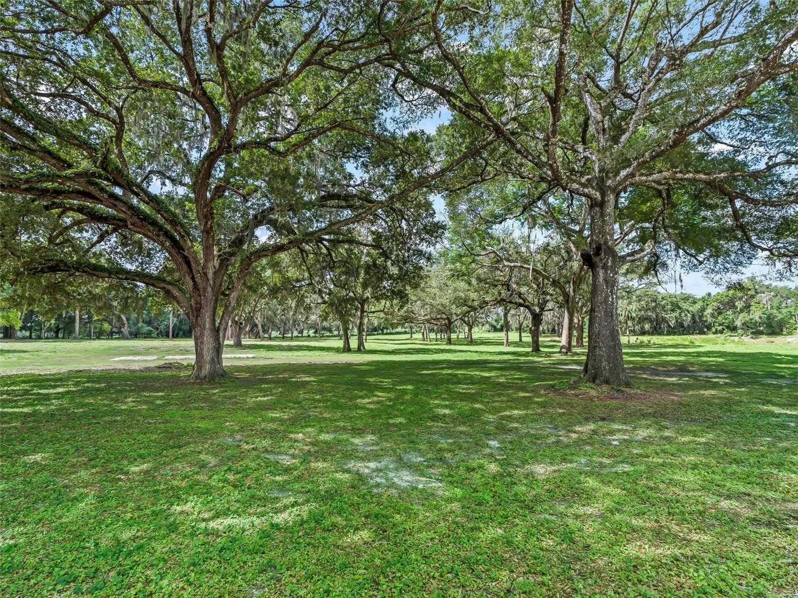 10660 Bushnell, Floral City, FL 34436