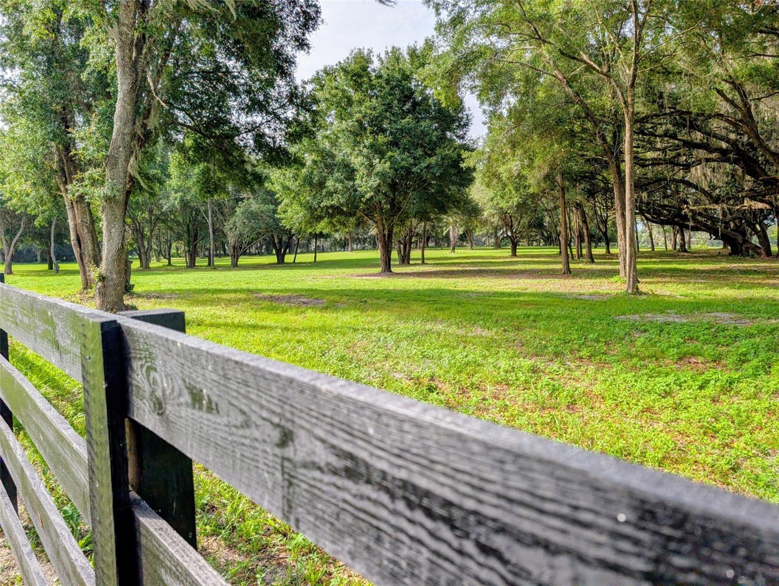 10660 Bushnell, Floral City, FL 34436