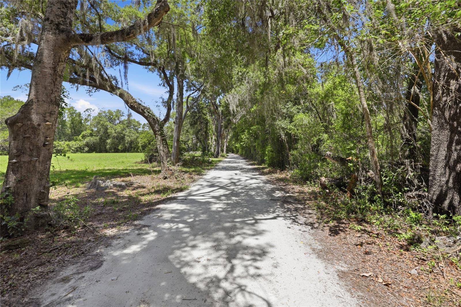 1224 143rd, Newberry, FL 32669