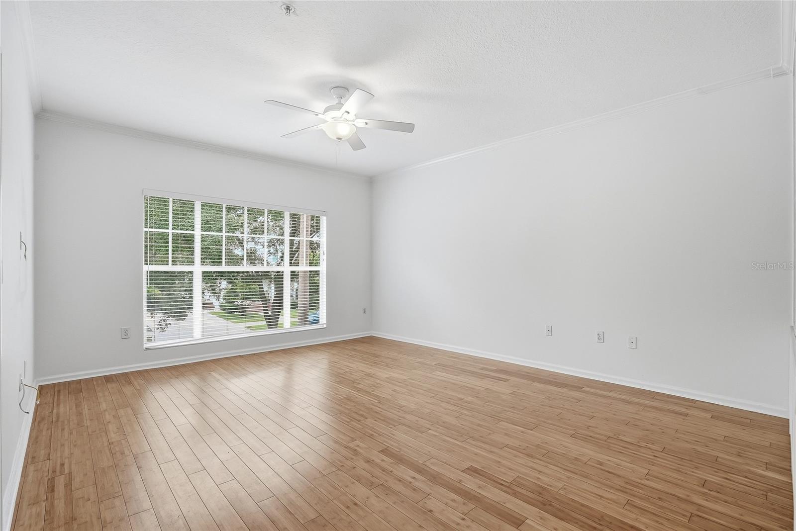 809 Oregon Unit B, Tampa, FL 33606