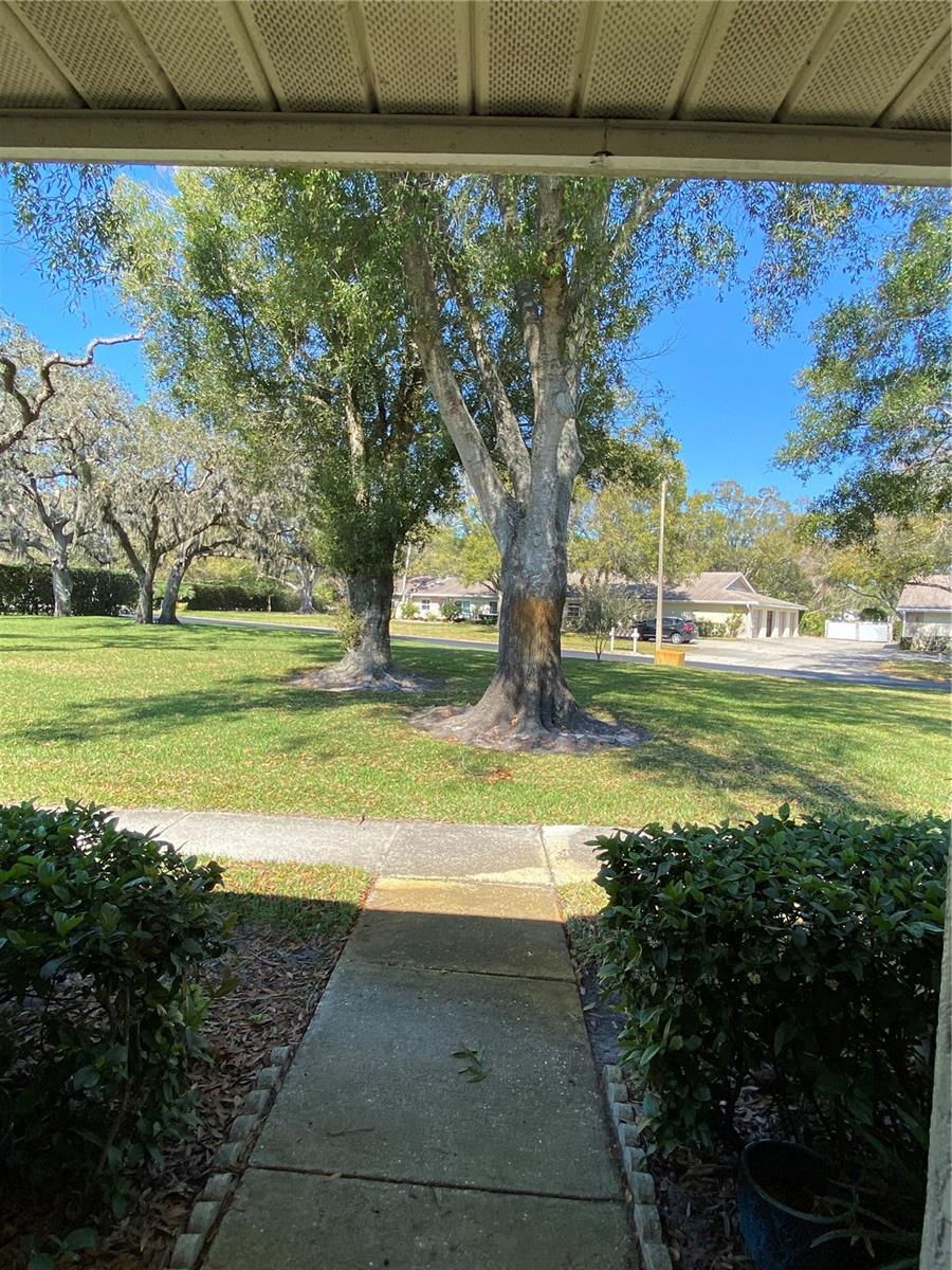 1059 Dunrobin Unit B, Palm Harbor, FL 34684