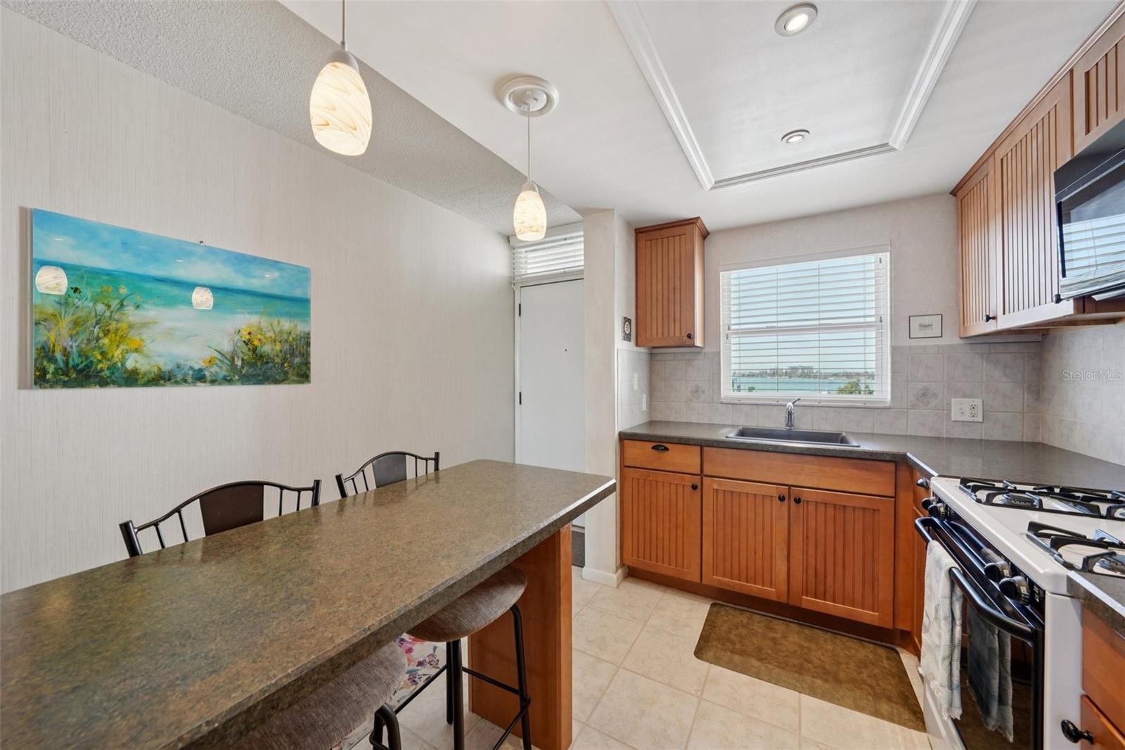 1847 Shore Unit 711, South Pasadena, FL 33707