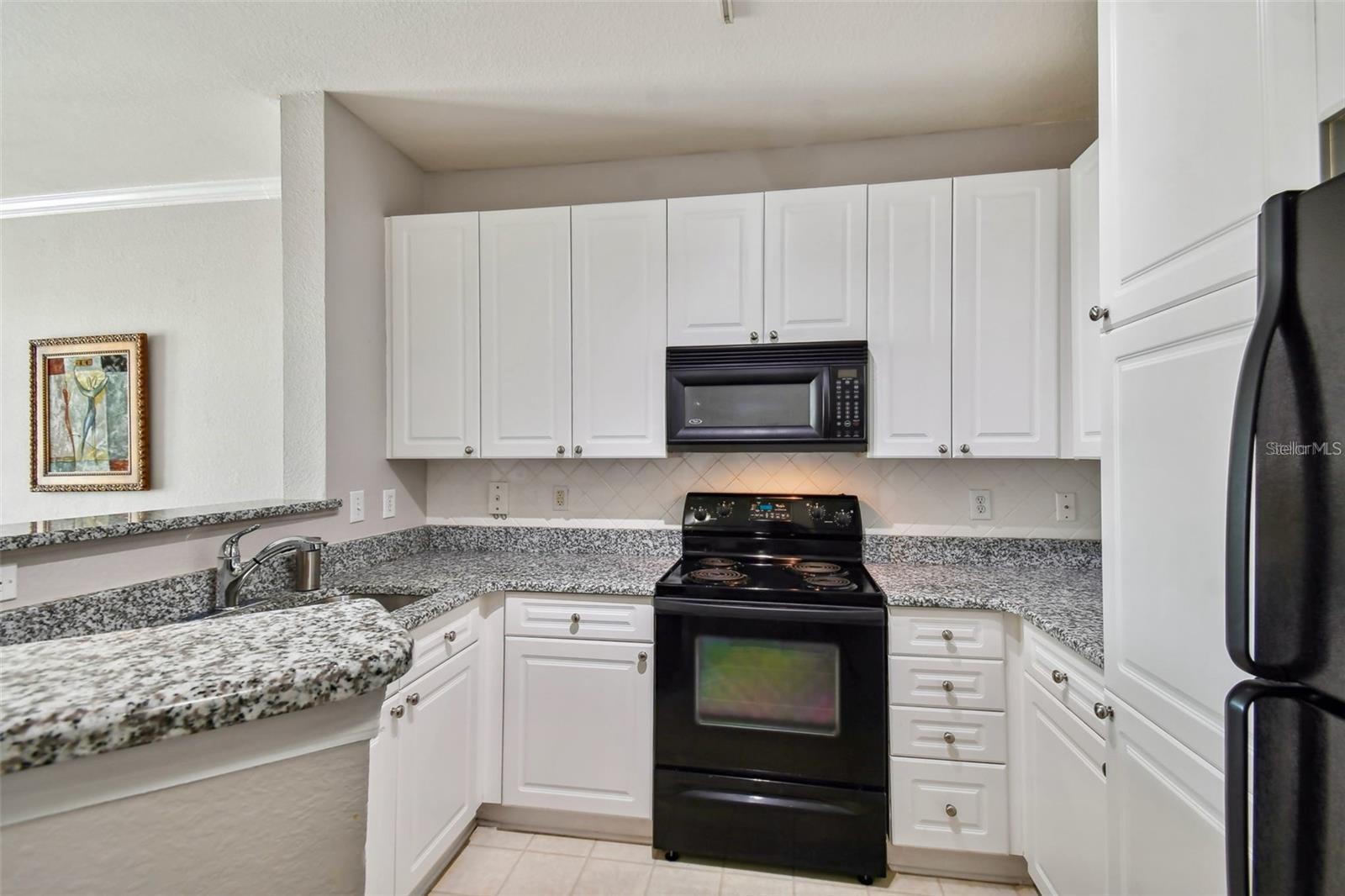 4221 Spruce Unit 2323, Tampa, FL 33607