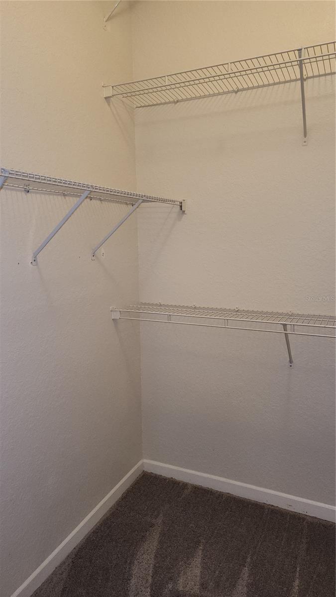 17101 Carrington Park Unit 421, Tampa, FL 33647