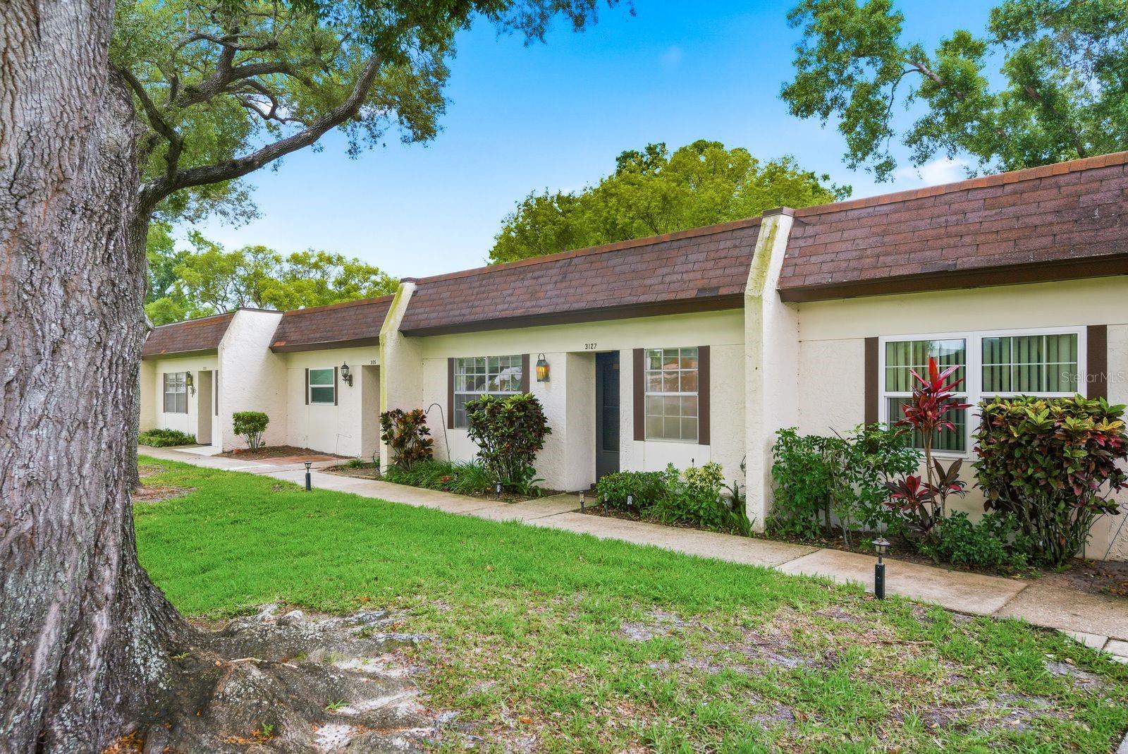 3127 Mission Grove Unit 3127, Palm Harbor, FL 34684