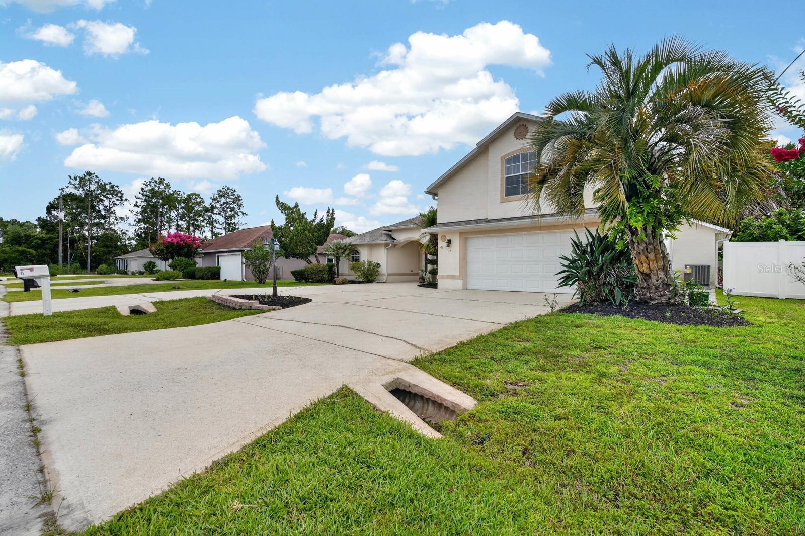 11 Zonal Geranium, Palm Coast, FL 32164