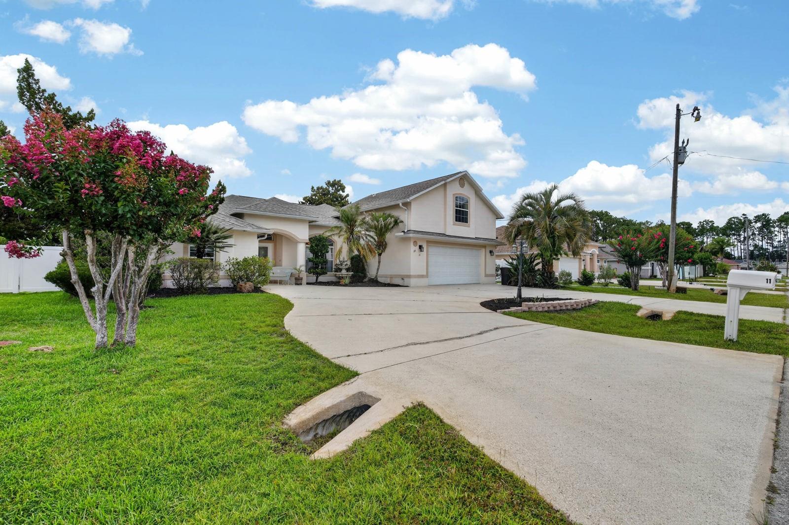 11 Zonal Geranium, Palm Coast, FL 32164
