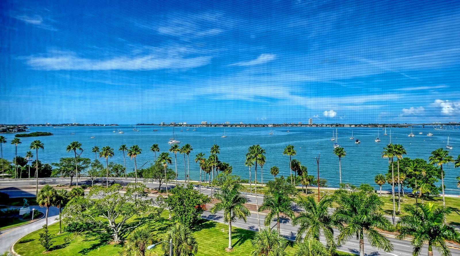 707 Gulfstream Unit 705, Sarasota, FL 34236