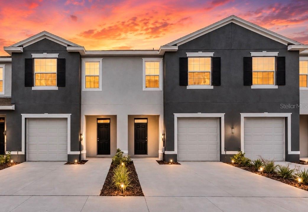 32202 Turtle Grace, Wesley Chapel, FL 33545