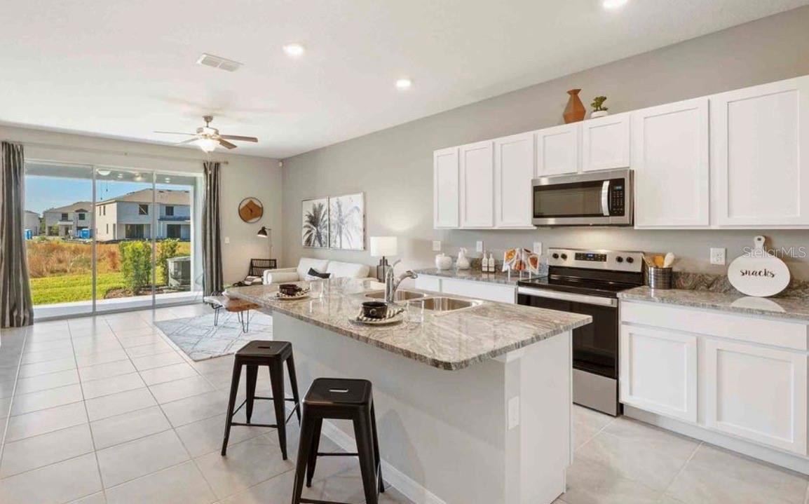32202 Turtle Grace, Wesley Chapel, FL 33545
