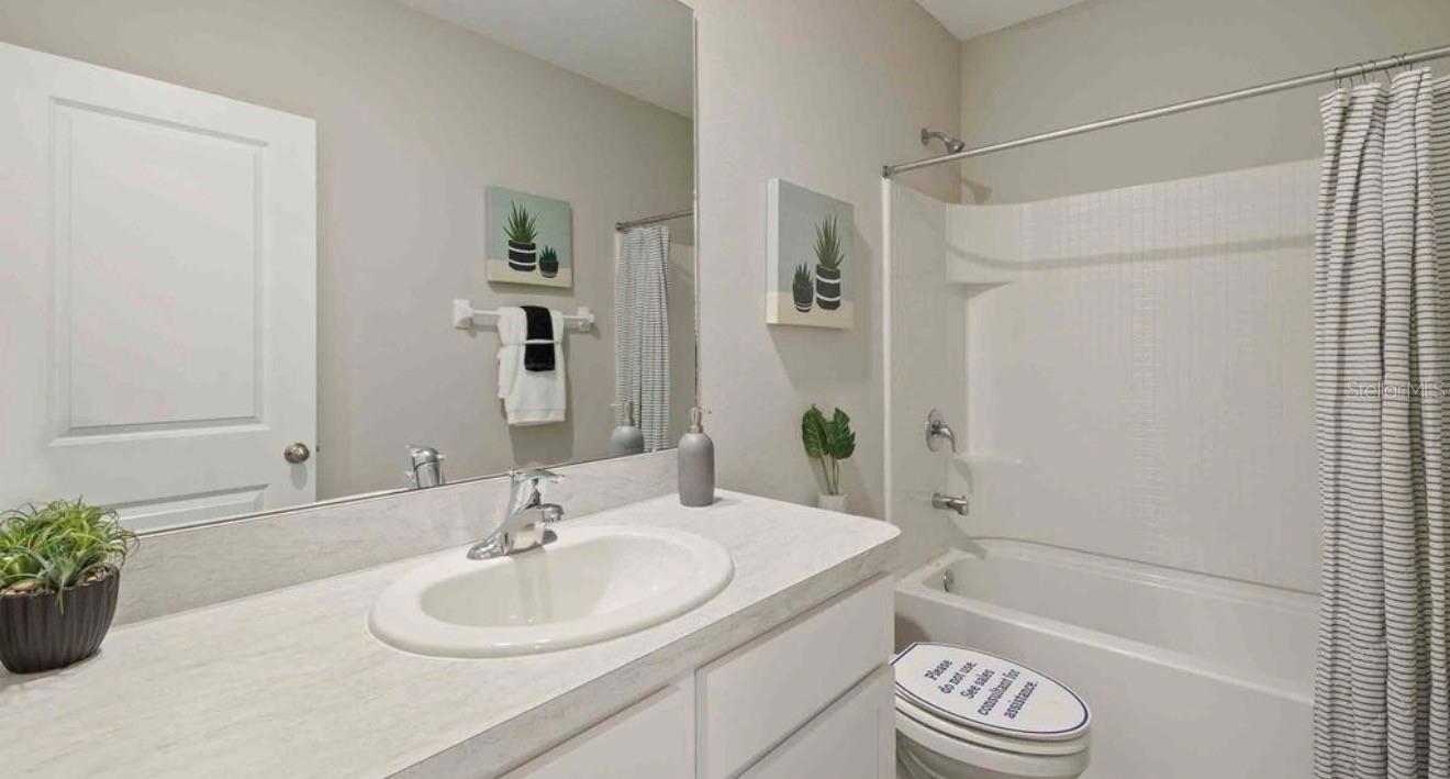 32202 Turtle Grace, Wesley Chapel, FL 33545