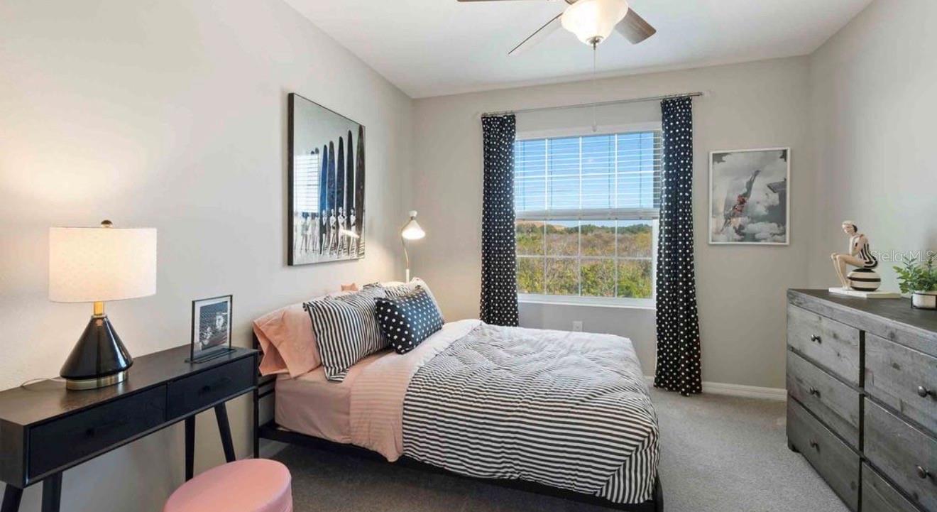 32202 Turtle Grace, Wesley Chapel, FL 33545