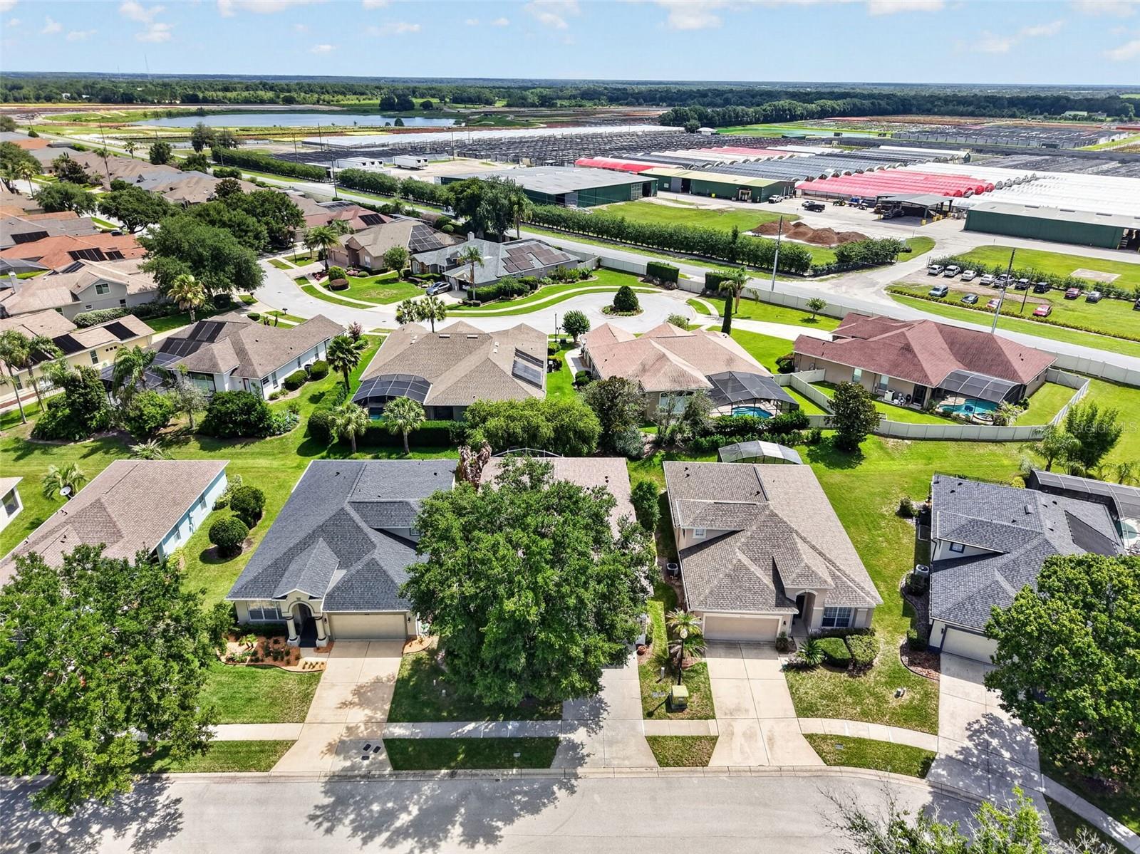 8051 Saint James, Mount Dora, FL 32757