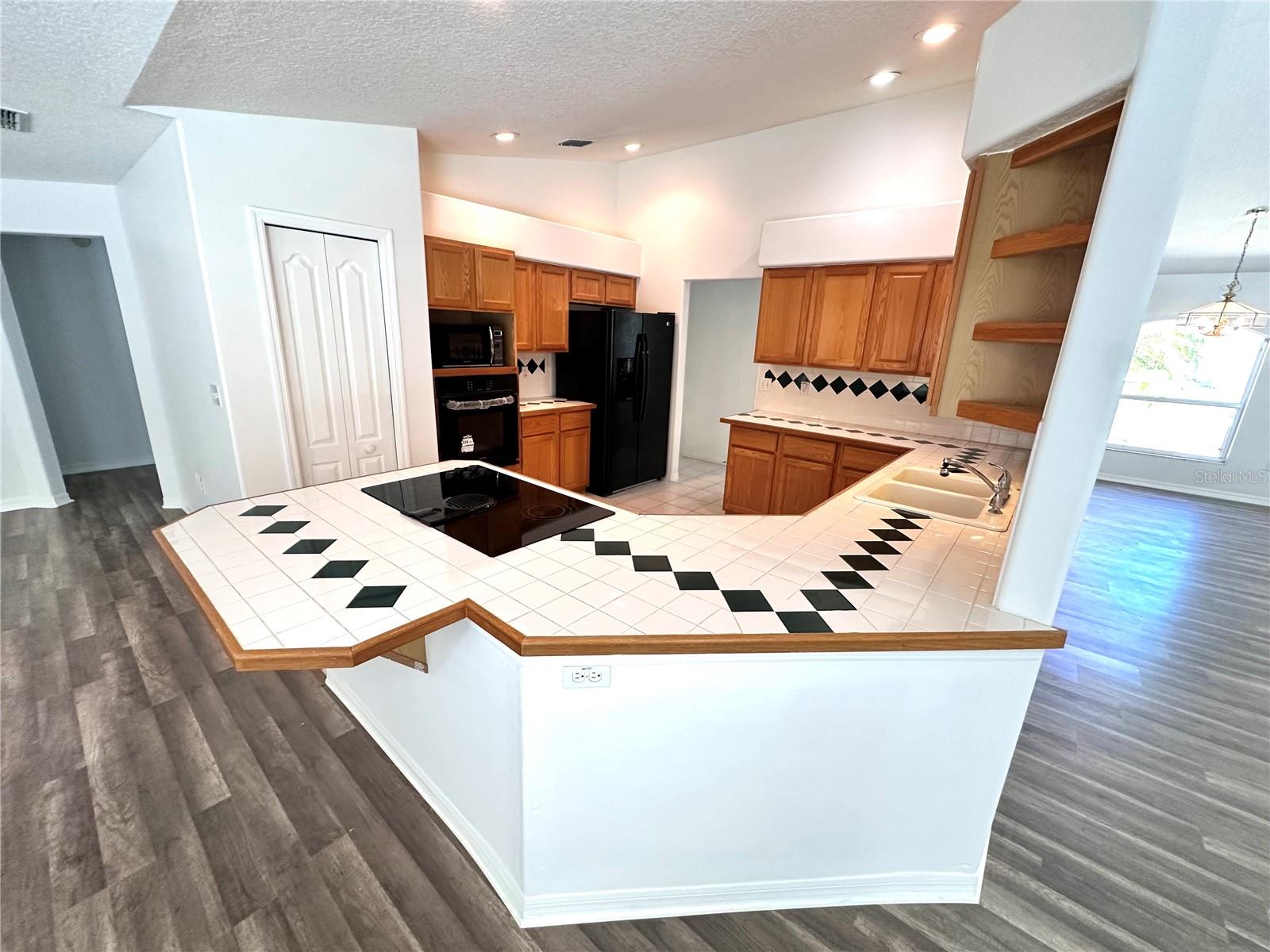 29439 Schinnecock Hills, San Antonio, FL 33576