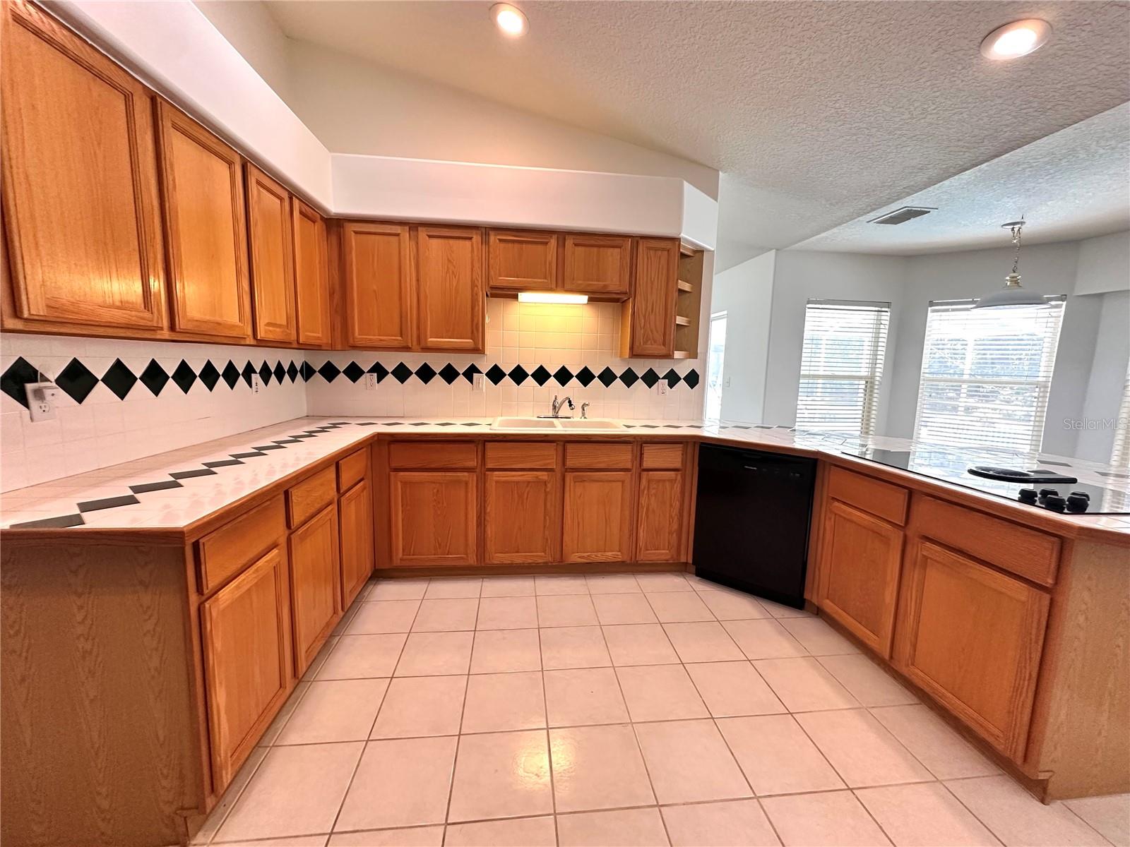 29439 Schinnecock Hills, San Antonio, FL 33576
