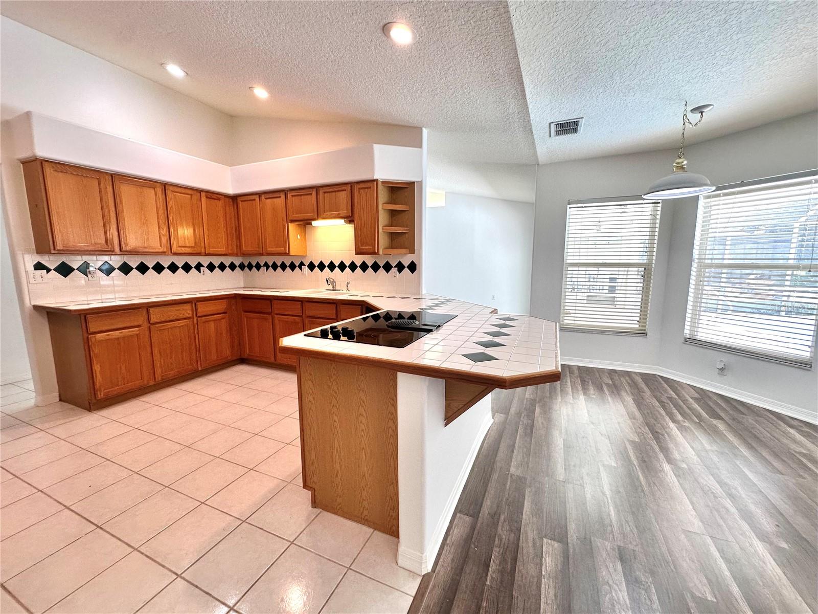 29439 Schinnecock Hills, San Antonio, FL 33576