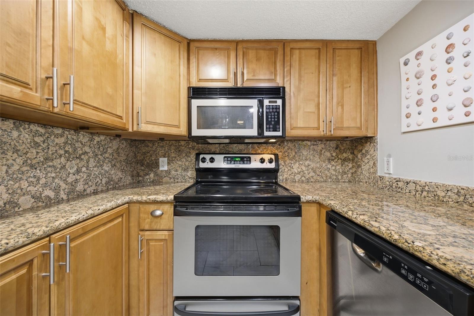 4141 Bayshore Unit 706, Tampa, FL 33611