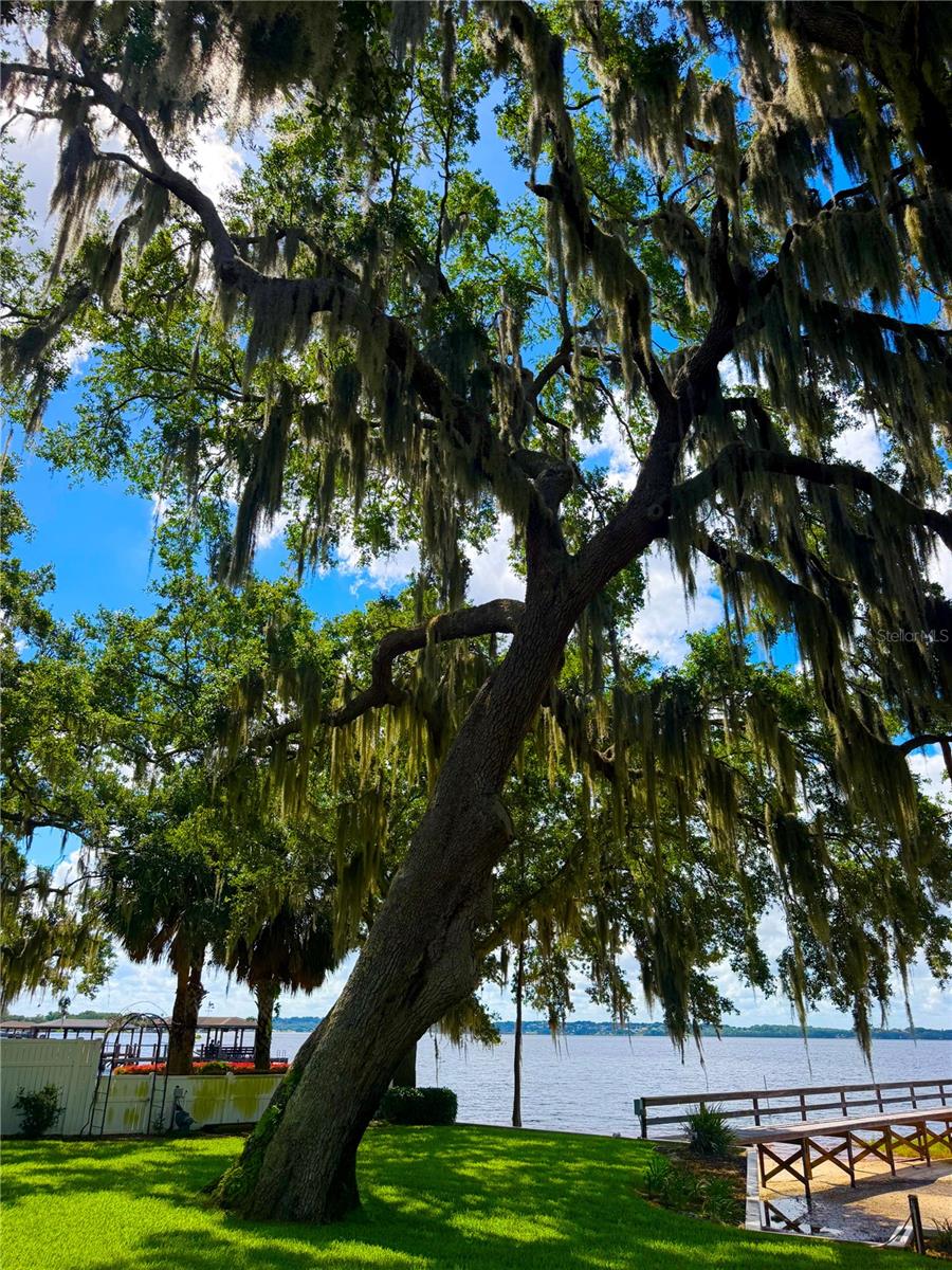 1341 Lakeshore, Clermont, FL 34711