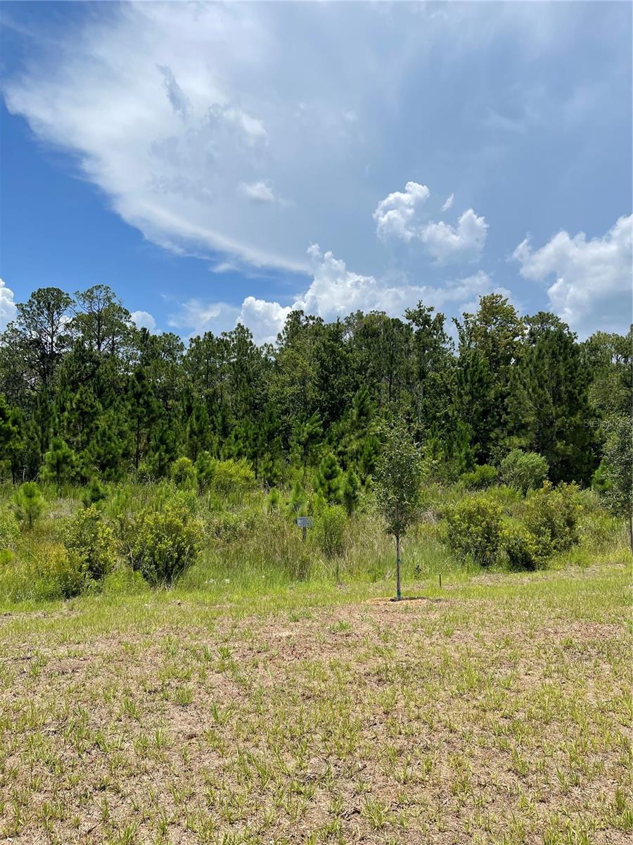 7630 Bent Tree, St Cloud, FL 34773