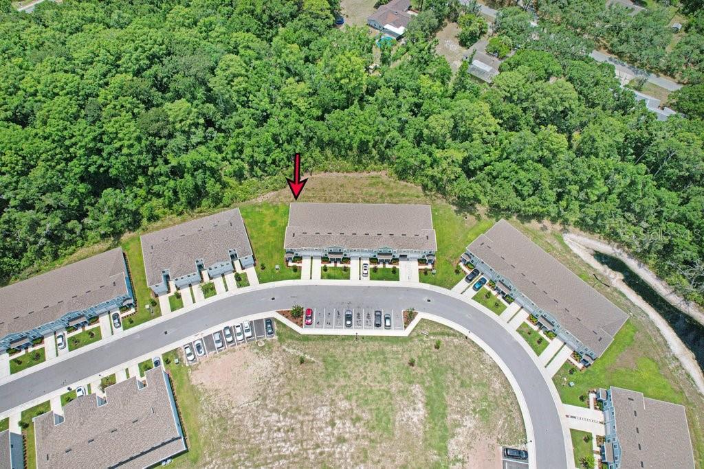 12214 Grizzly, New Port Richey, FL 34654