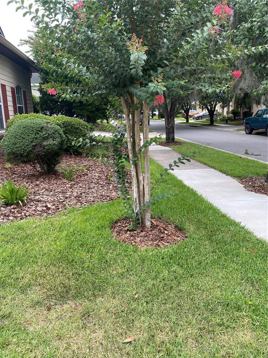 8389 80th, Gainesville, FL 32608